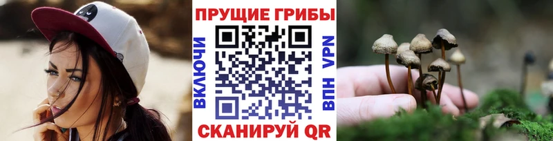 Псилоцибиновые грибы ЛСД  hydra зеркало  Котлас 